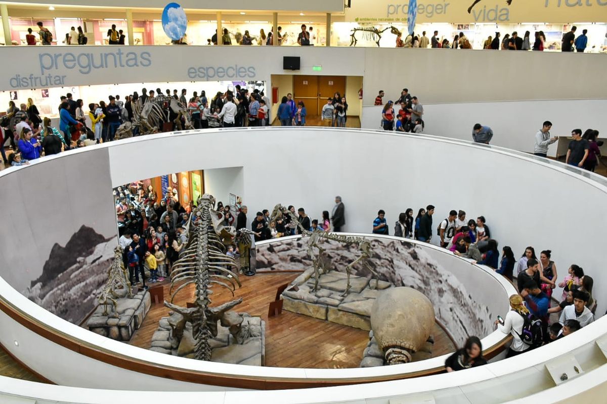 El interior del Museo de Ciencias Naturales. Foto: Prensa Gobierno de la Provincia.