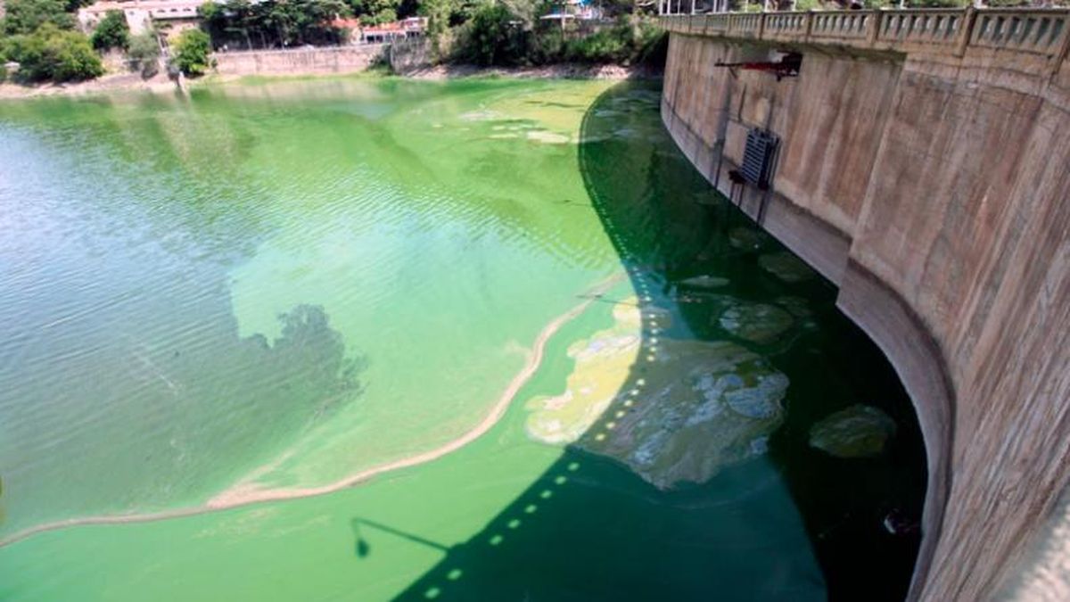 La Municipalidad de Villa Carlos Paz denunció a la cooperativa de cloacas por contaminar el Lago San Roque