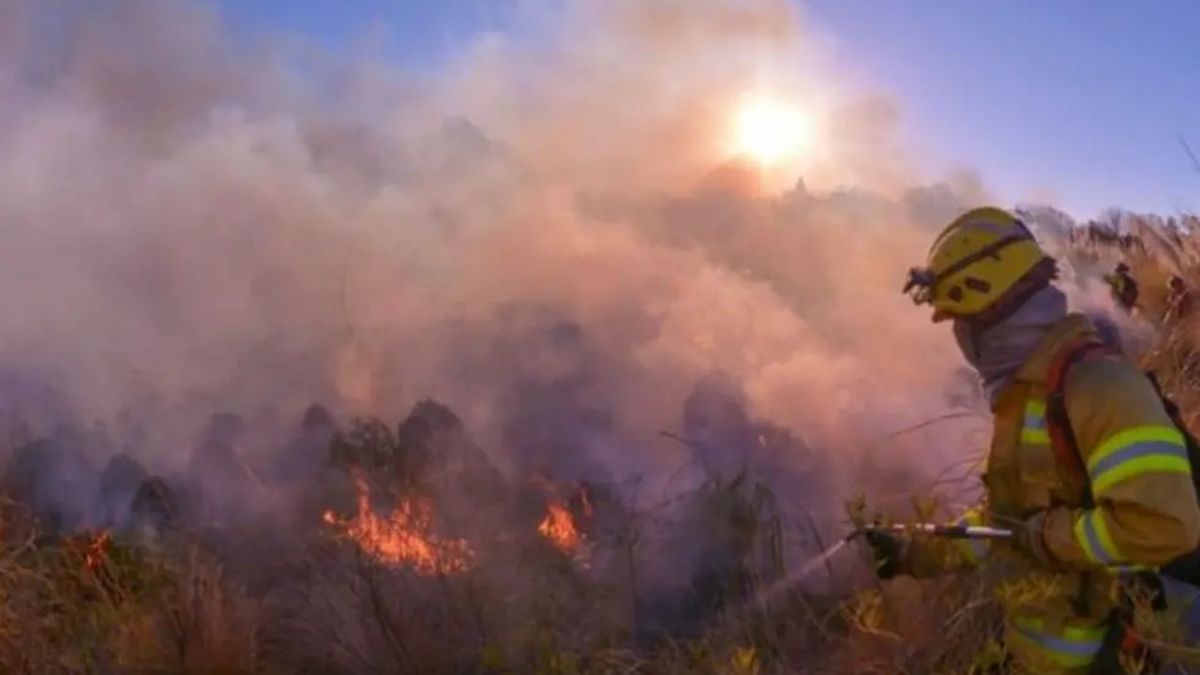 Córdoba y otras cinco provincias, con focos de incendios forestales activos