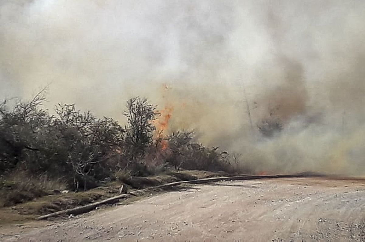 Bomberos contuvieron un incendio forestal cerca de Alta Gracia y mantienen la guardia de ceniza