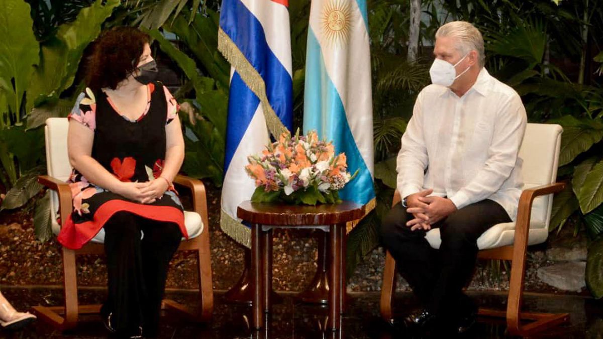 Vizzotti se reunió con el presidente de Cuba.