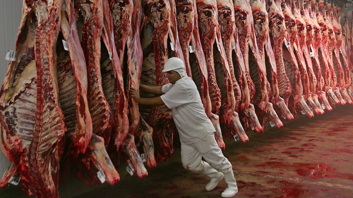La carne no se puede exportar por 30 días y el Campo para reclamar la medida.