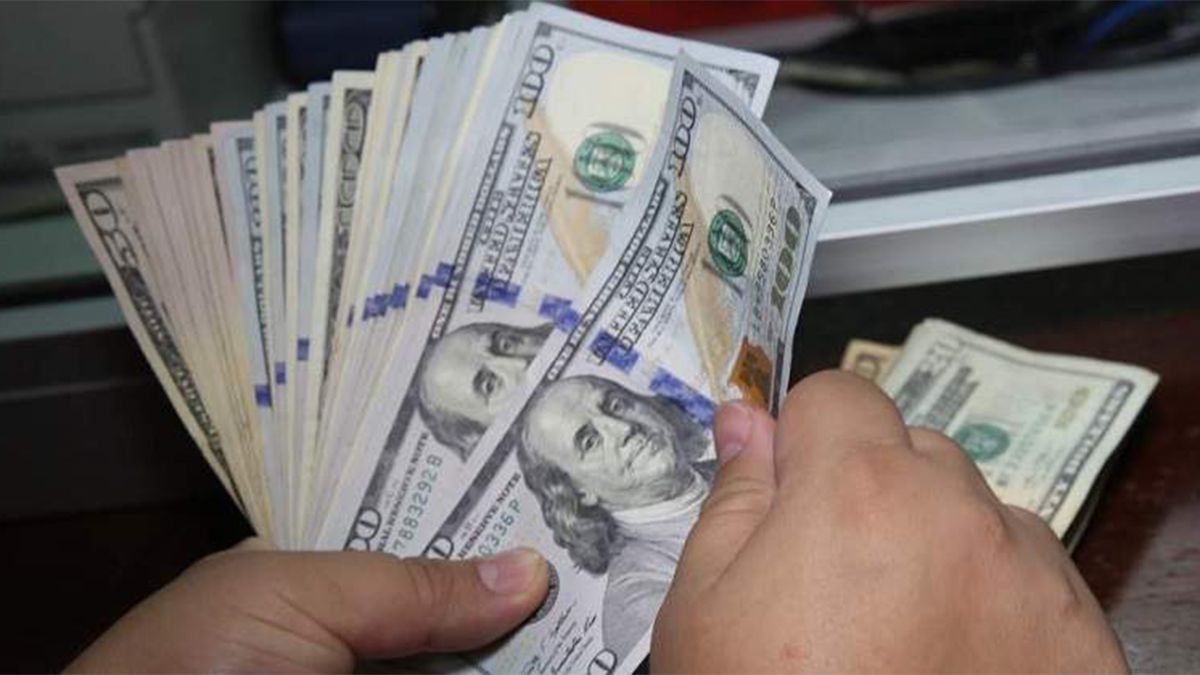 El dólar después de las elecciones: la cotización libre abrió a $201