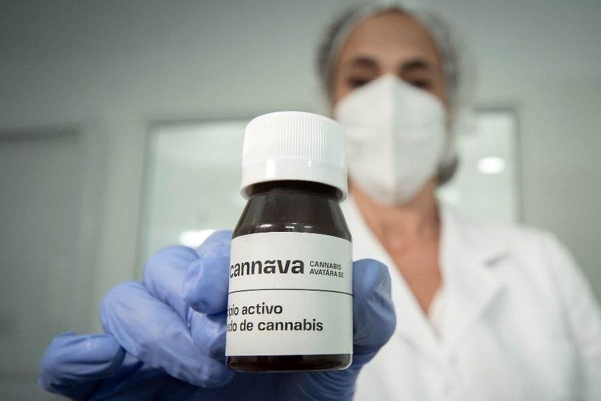 El primer aceite de cannabis medicinal aprobado por ANMAT es producido por la empresa pública de Jujuy Cannava.