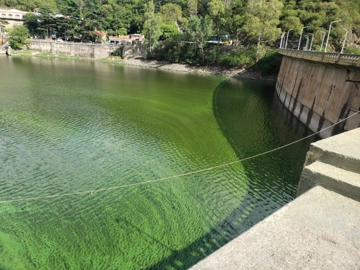 El agua de red en Córdoba, cada día más contaminada