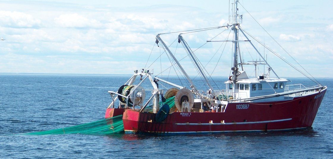 La pesca fue la actividad económica de mayor crecimiento entre Marzo de 2020 y Marzo de 2021